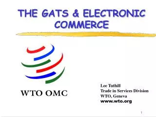 THE GATS &amp; ELECTRONIC COMMERCE