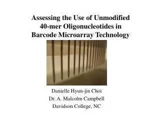 Assessing the Use of Unmodified 40-mer Oligonucleotides in Barcode Microarray Technology