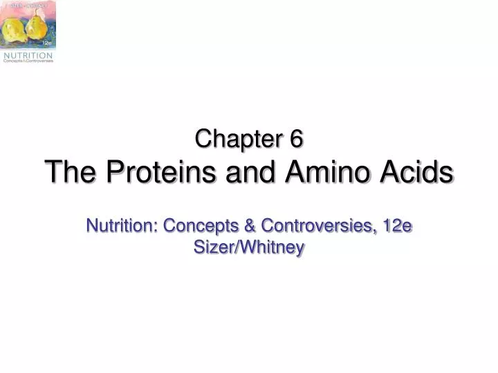 chapter 6 the proteins and amino acids