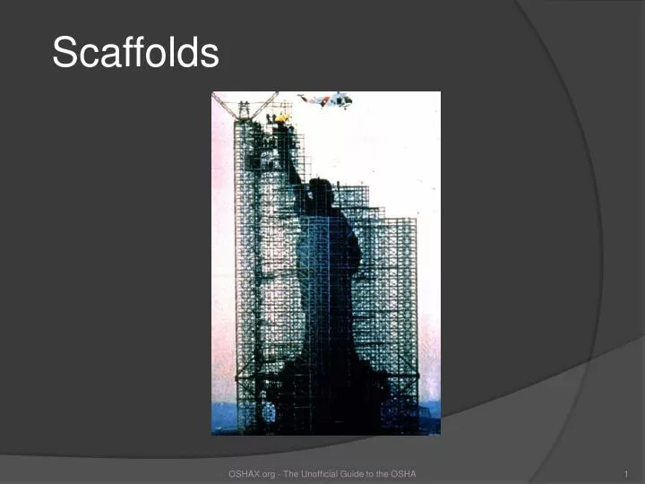 scaffolds