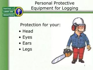 Personal Protective Equipment for Logging