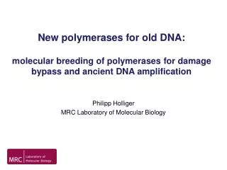 New polymerases for old DNA: molecular breeding of polymerases for damage bypass and ancient DNA amplification