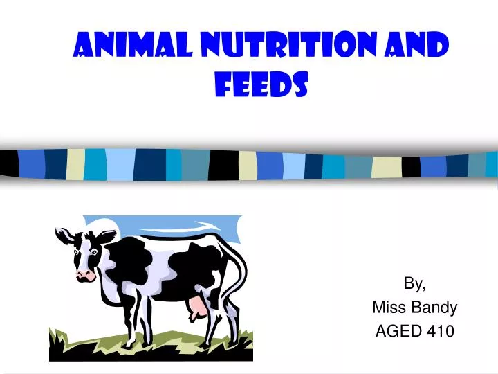 animal nutrition and feeds