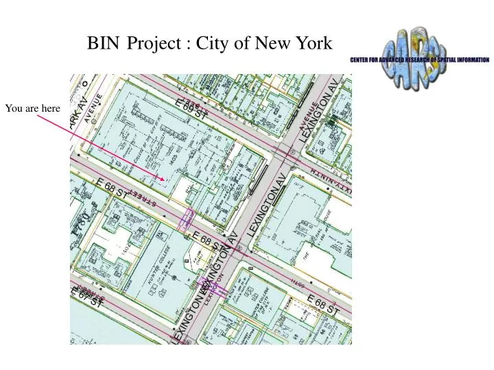 bin project city of new york