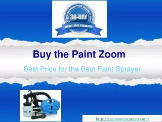 Purchase the Paint Zoom Online and Enjoy Extreme Savings