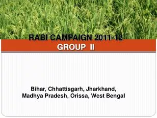 RABI CAMPAIGN 2011-12 GROUP II