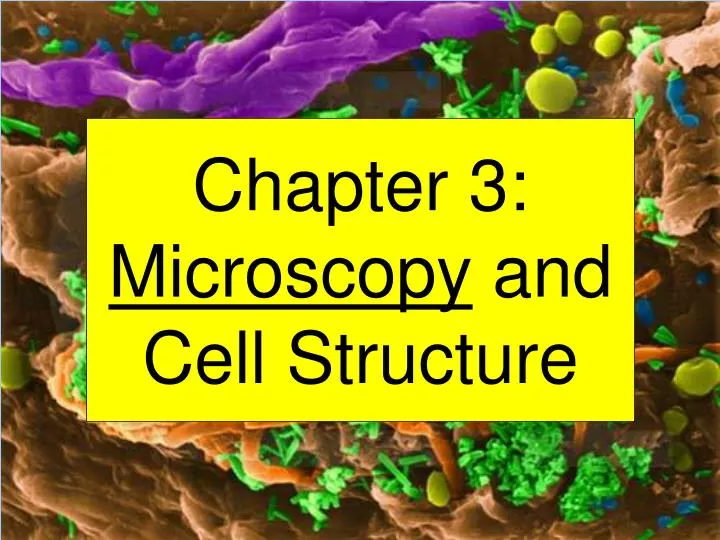 chapter 3 microscopy and cell structure