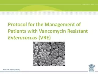 Protocol for the Management of Patients with Vancomycin Resistant Enterococcus (VRE)