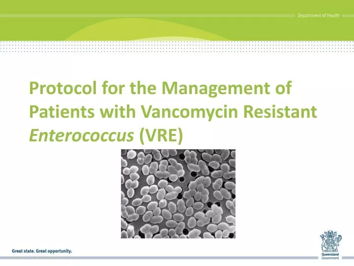 protocol for the management of patients with vancomycin resistant enterococcus vre