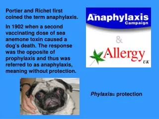 Portier and Richet first coined the term anaphylaxis.
