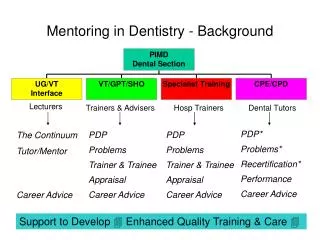 Mentoring in Dentistry - Background