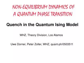 Quench in the Quantum Ising Model