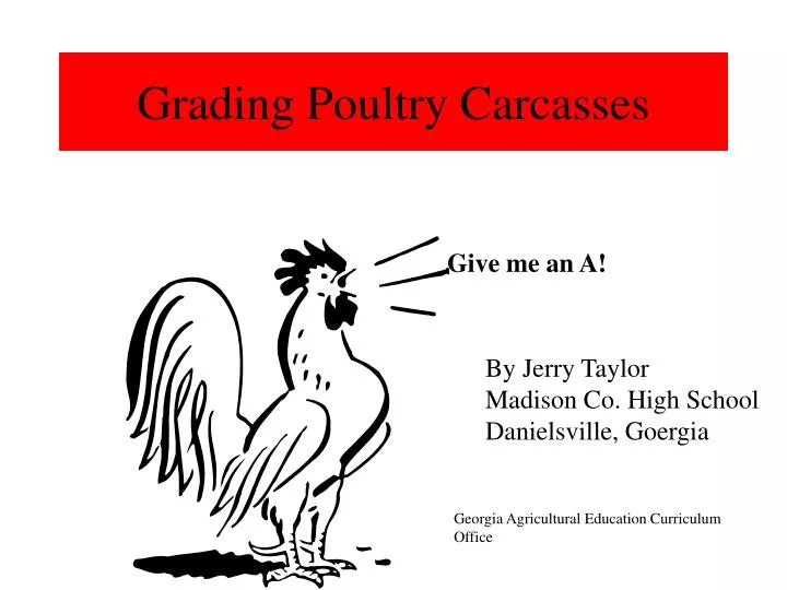 grading poultry carcasses