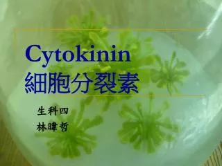 cytokinin