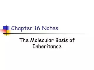 Chapter 16 Notes