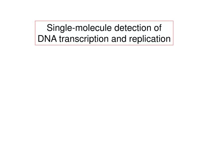 single molecule detection of dna transcription and replication