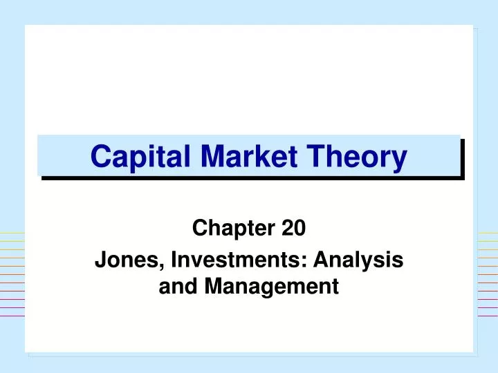 capital market theory