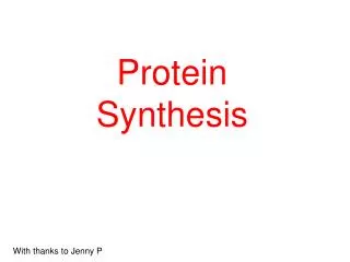 protein synthesis