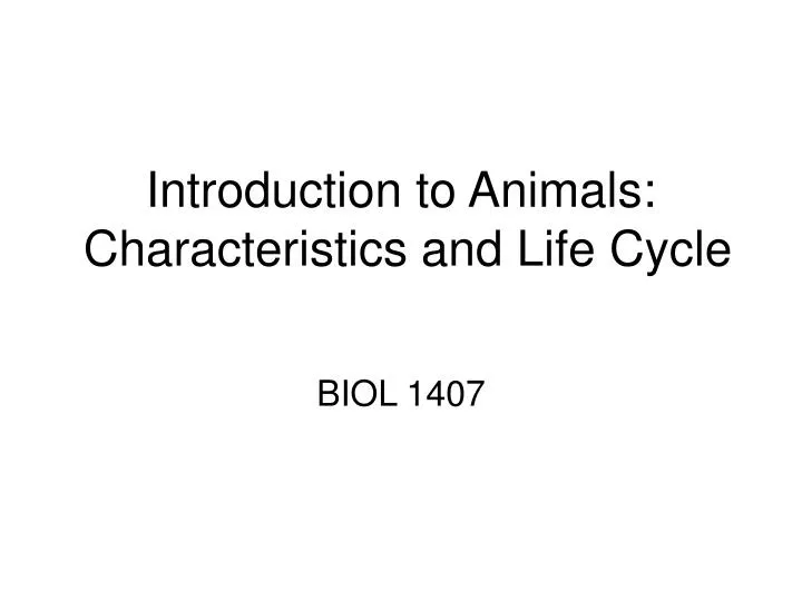 introduction to animals characteristics and life cycle