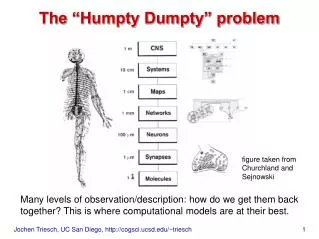 The “Humpty Dumpty” problem