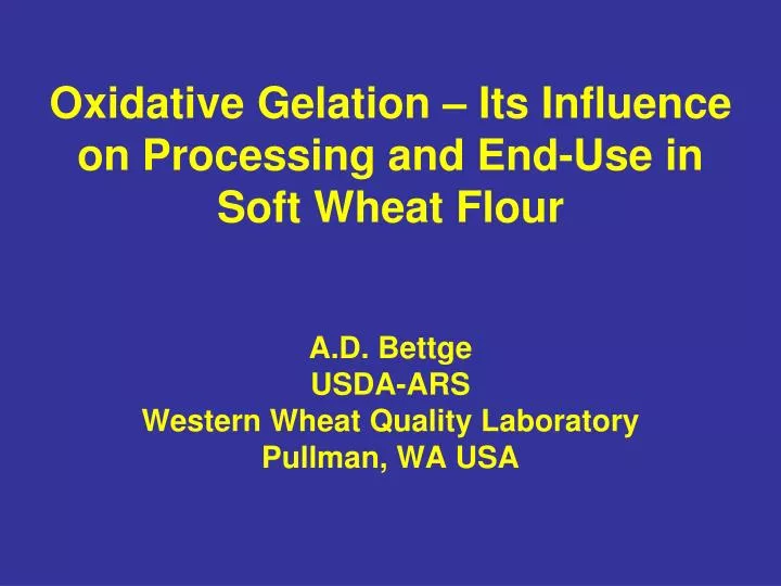 oxidative gelation its influence on processing and end use in soft wheat flour