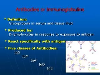 Antibodies or Immunoglobulins