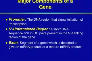 Major Components of a Gene