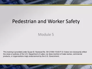 Pedestrian and Worker Safety