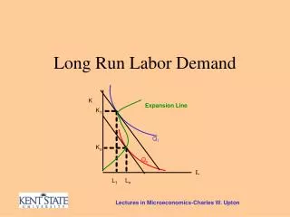 Long Run Labor Demand