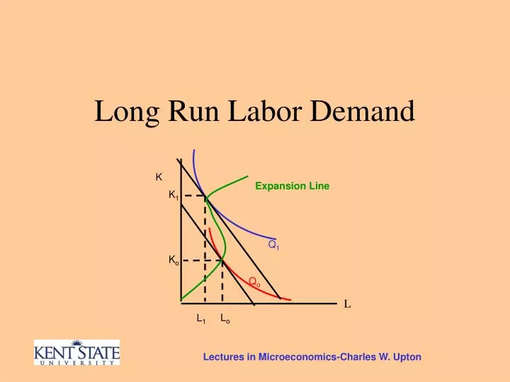 long run labor demand