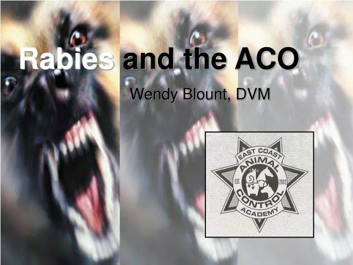 rabies and the aco