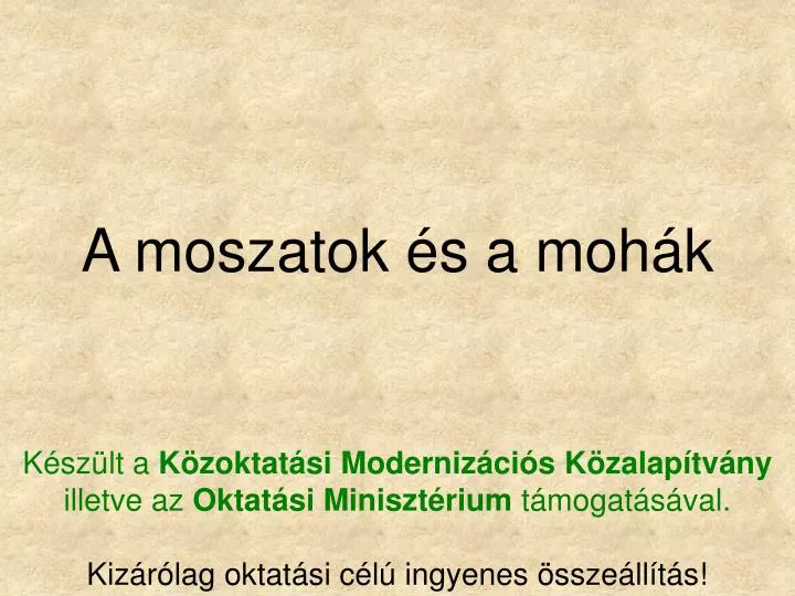 a moszatok s a moh k