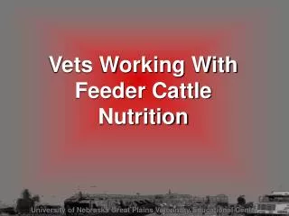 Vets Working With Feeder Cattle Nutrition