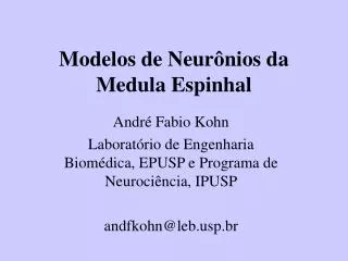 Modelos de Neurônios da Medula Espinhal