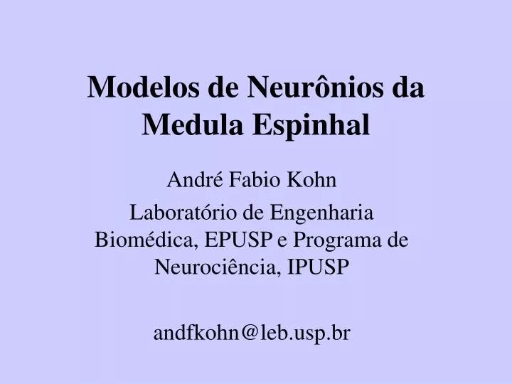 modelos de neur nios da medula espinhal