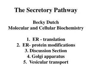 The Secretory Pathway Becky Dutch Molecular and Cellular Biochemistry 1. ER - translation 2. ER- protein modifications