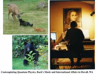 Contemplating Quantum Physics, Bach’s Music and International Affairs in Duvall, WA