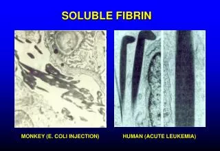 SOLUBLE FIBRIN