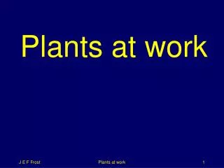 Plants at work