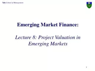 Emerging Market Finance: Lecture 8: Project Valuation in Emerging Markets