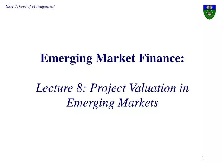 emerging market finance lecture 8 project valuation in emerging markets