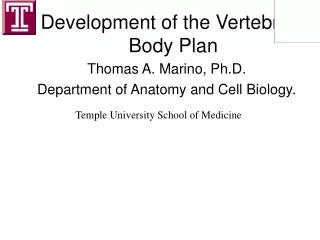 Development of the Vertebrate Body Plan