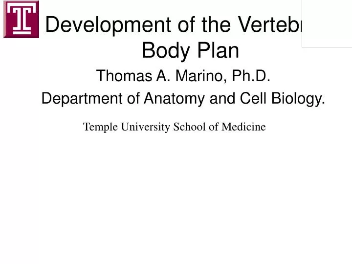 development of the vertebrate body plan