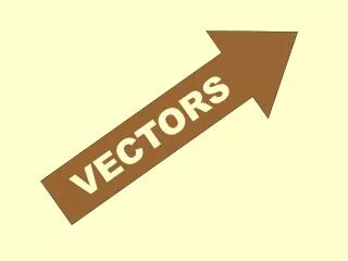 VECTORS