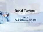 Renal Tumors - slide 1