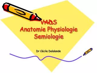 VADS Anatomie Physiologie Semiologie