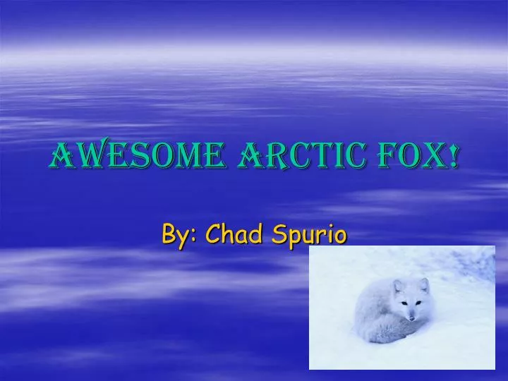 awesome arctic fox