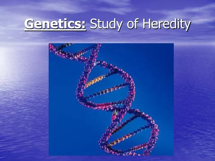 genetics study of heredity
