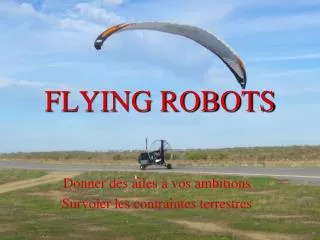 FLYING ROBOTS