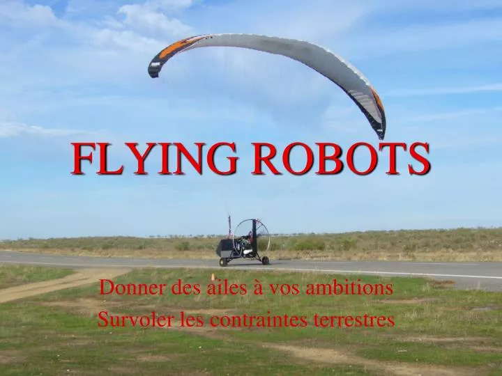 flying robots